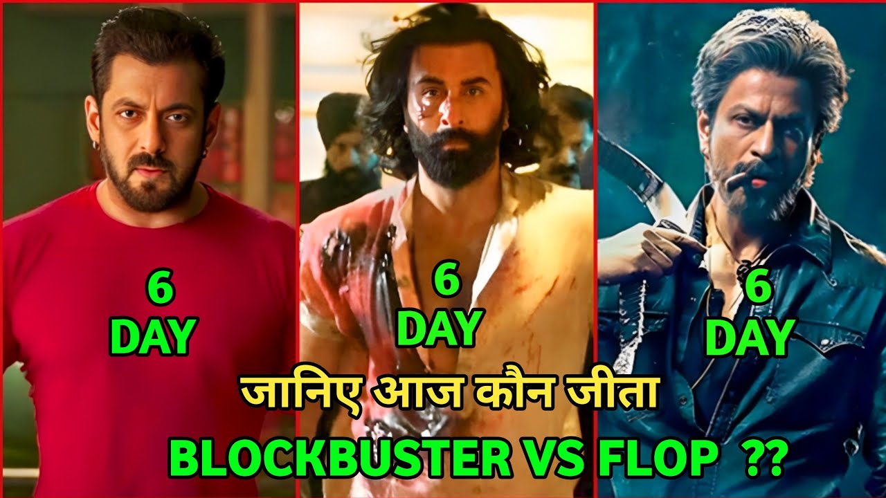 Animal Vs Tiger 3 Vs Jawan Comparison, Animal Box Office Collection, Animal 6th Day Collection