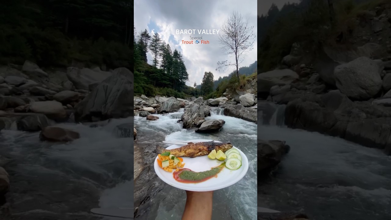 Barot valley special Trout Fish 🐟 #barot#fish#trout#troutfish#himachal#pahadifood#outdoorcooking
