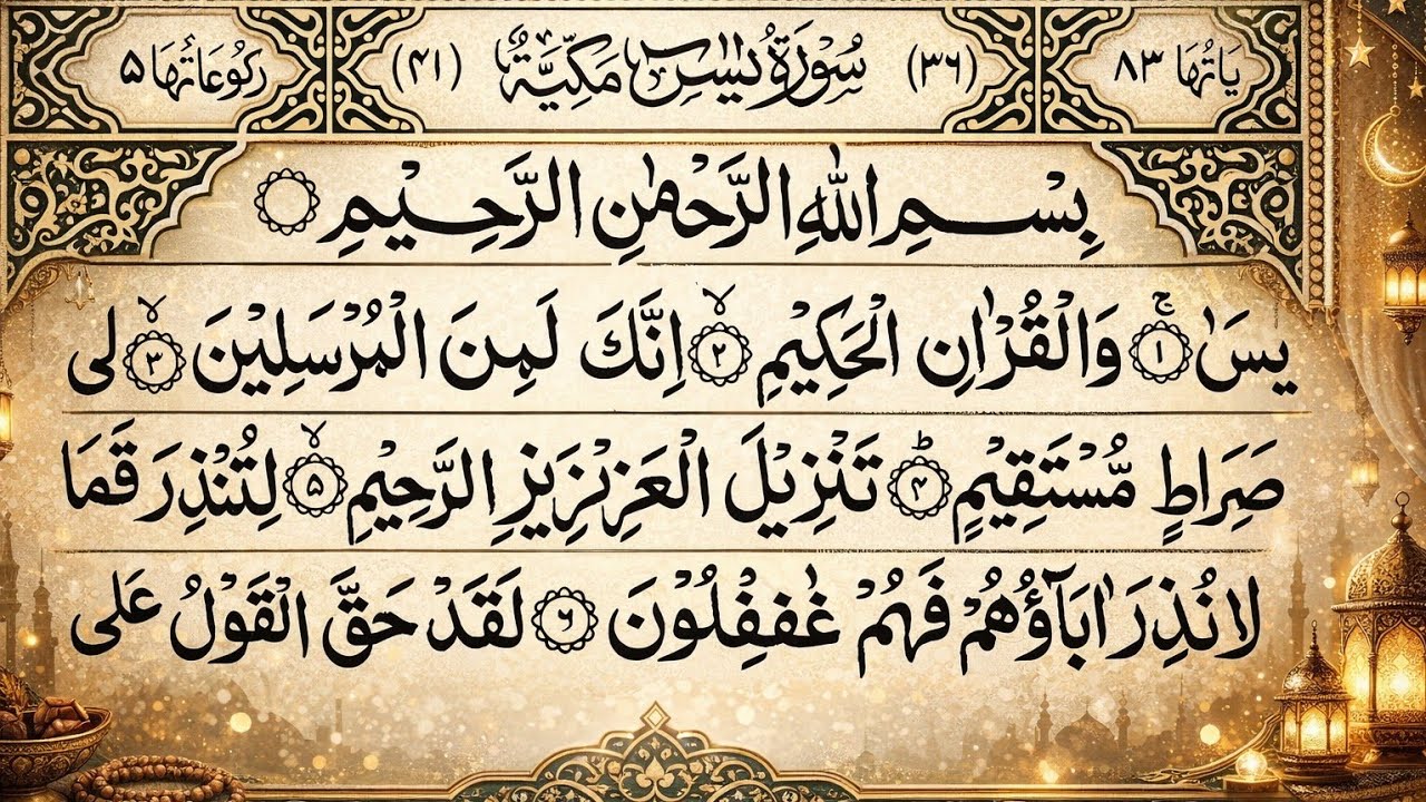 🍁LIVE Surah Yaseen || Qur'an Recitation || Surah Rahman || Surah Yasin full || Best Quran Tilawat 