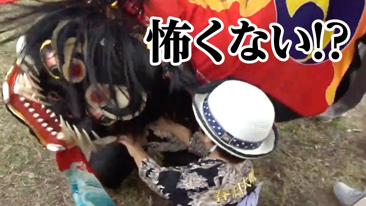 獅子舞2019 山階の秋祭り 傘揃え② カメラ2