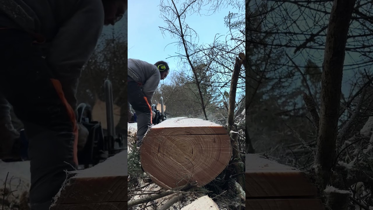 Logosol timberjig chainsaw milling with the Holzfforma G660