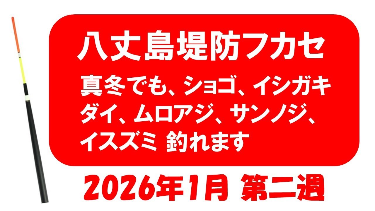 八丈島堤防フカセ、真冬でも釣れます