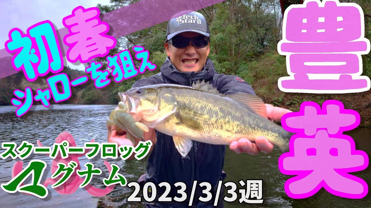 【豊英ダム】2023/3/3週　カエルの声聞いたらスクーパーフロッグマグナムでしょ！
