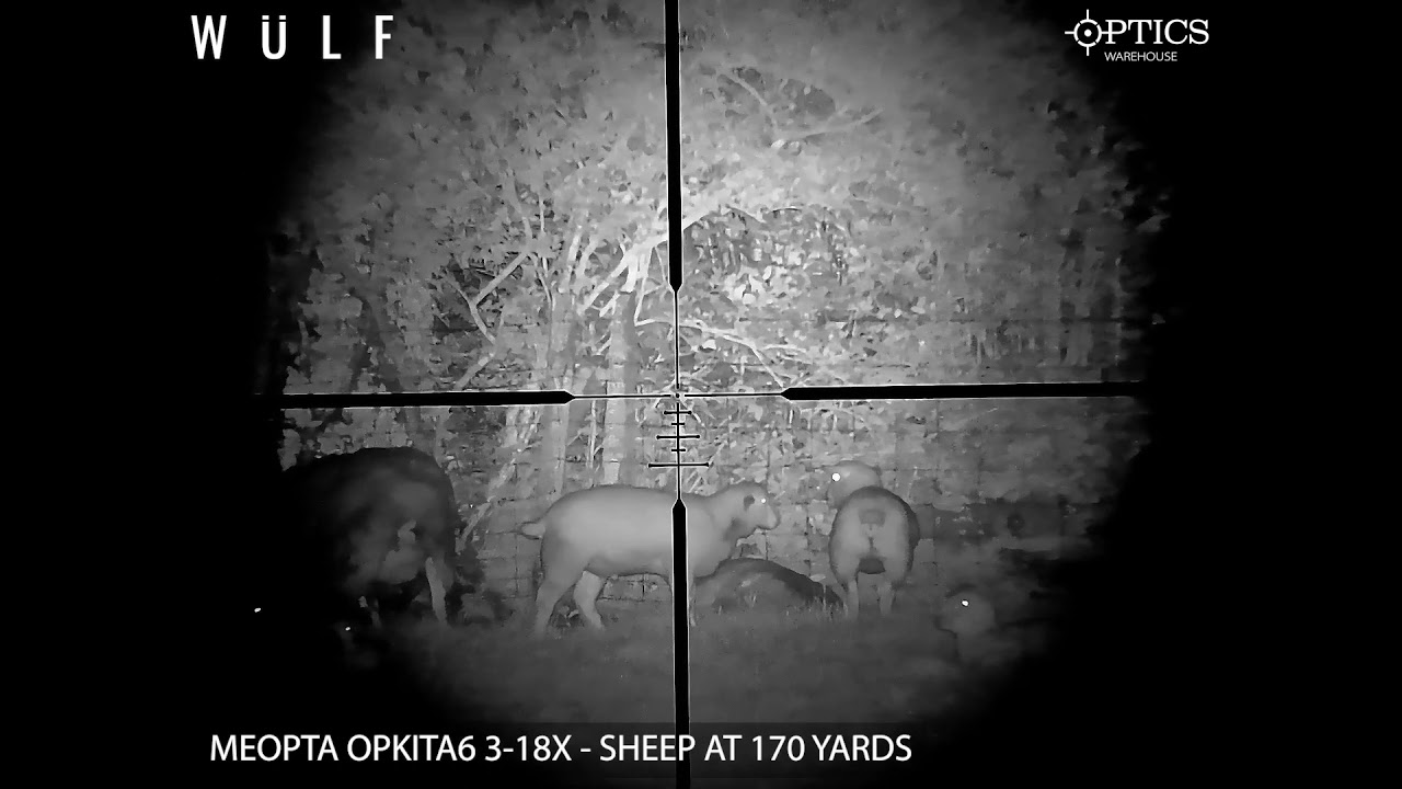 WULF Night Vision Rear Scope Add On Test Footage