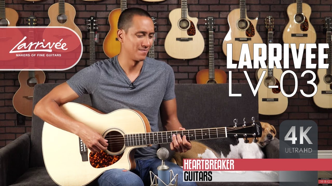 Larrivee LV-03 with Sitka Spruce over Mahogany