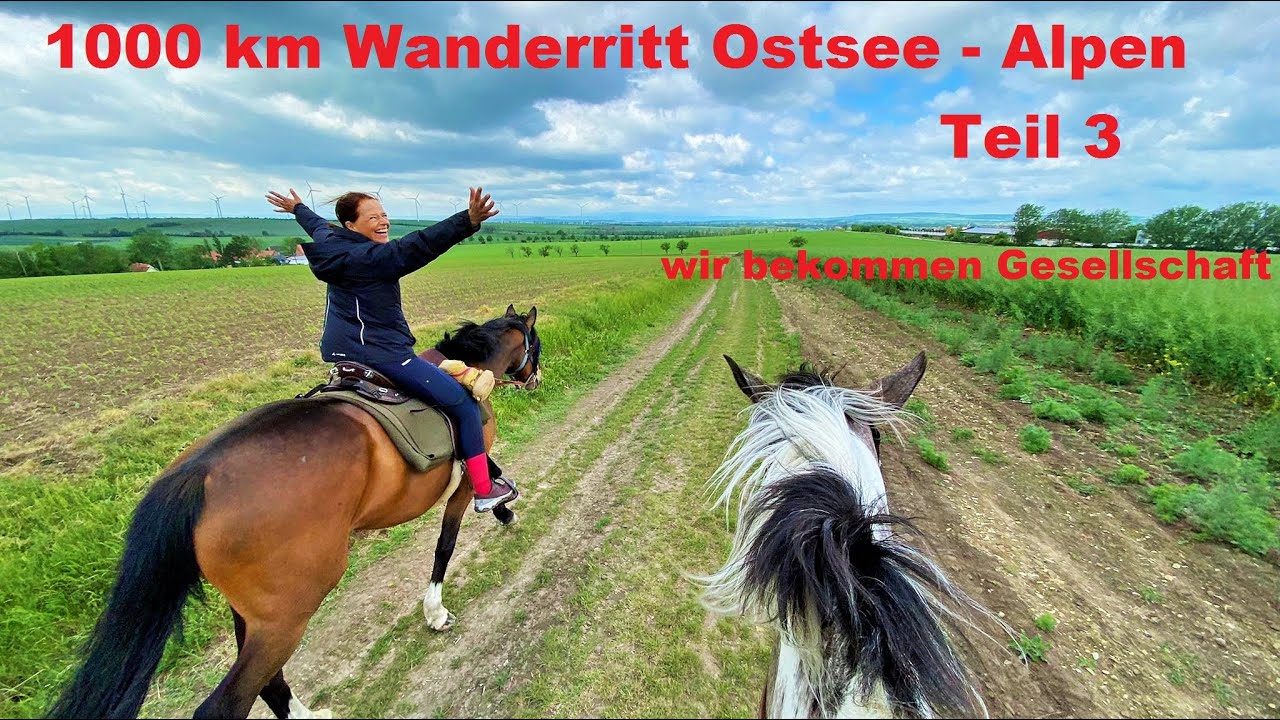 Wanderritt Doku 1000 km von der Ostsee in die Alpen Teil 3 - Richtung Harz mit Gesellschaft