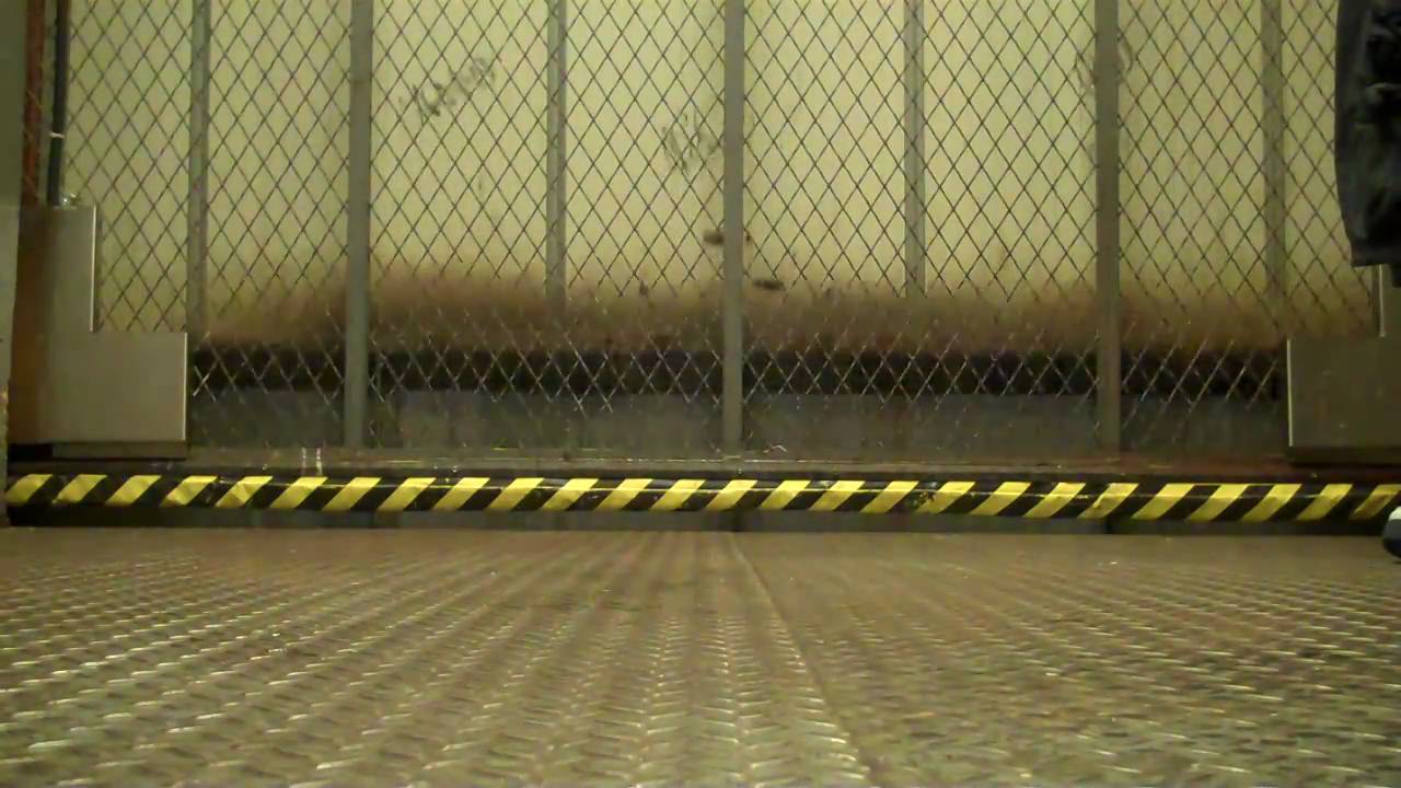 MUST WATCH! Schindler Freight Elevator, in Westbury, NY
