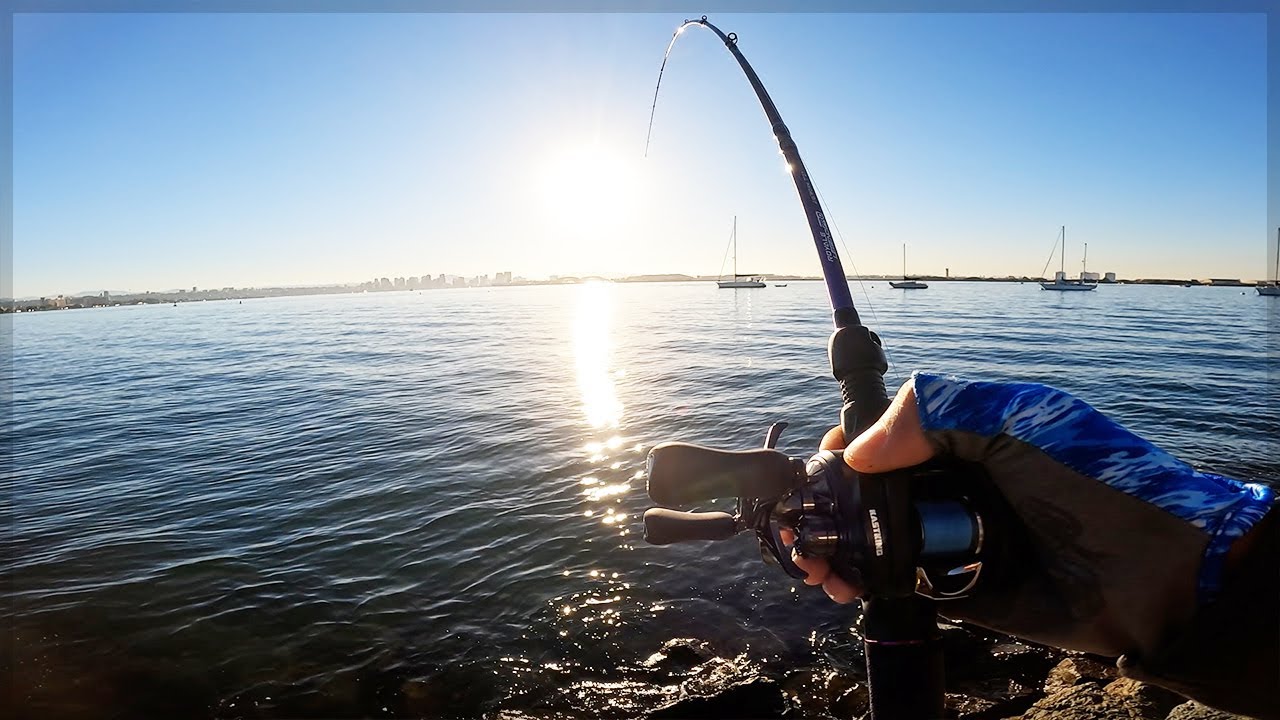 Эта катушка действительно работает! &mdash; КРУПНАЯ РЫБА попалась на мою наживку! &mdash; Рыбалка в Сан-Диего...