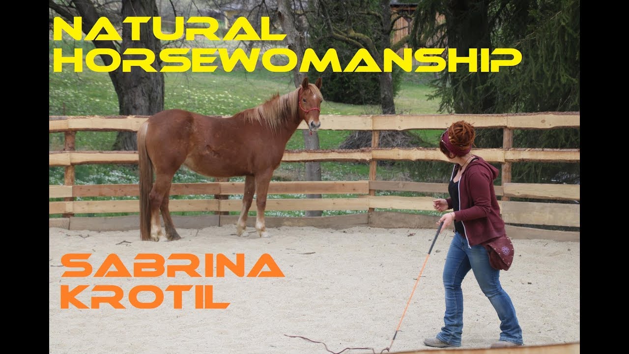 Natural HorseWOmanship mit Sabrina Krotil