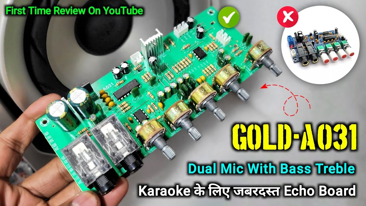 Karaoke Or Singing के लिए Best Dual Mic Echo Board | Gold-A031 | You Like Electronic 