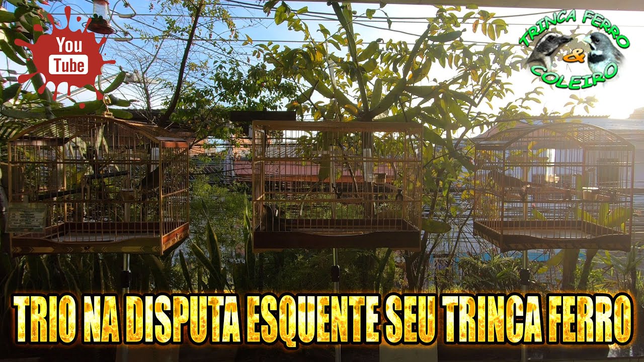 TRIO NA DISPUTA ESQUENTE SEU TRINCA FERRO by XADAI SADRAQUE E BARUC