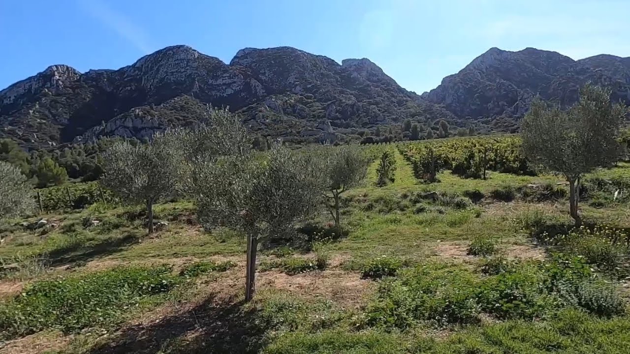 More Off-Road Bikepacking in Provence