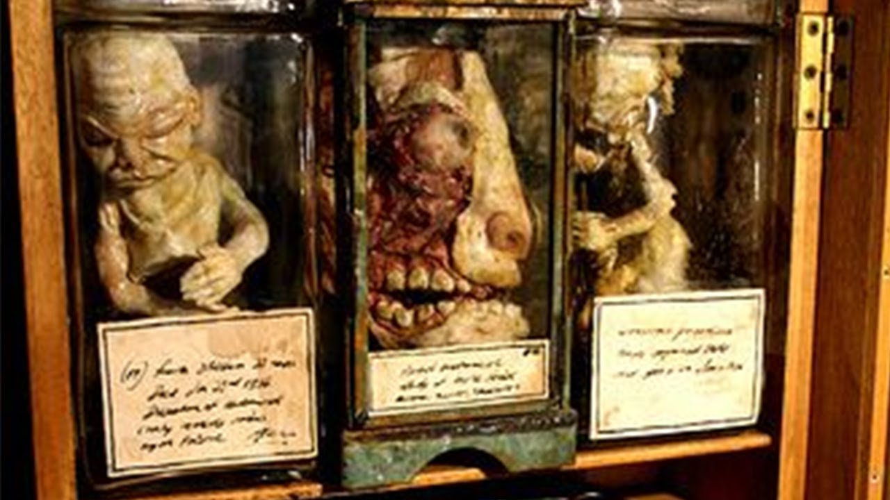 SCP Cursed Items That Need To Stay Locked Away