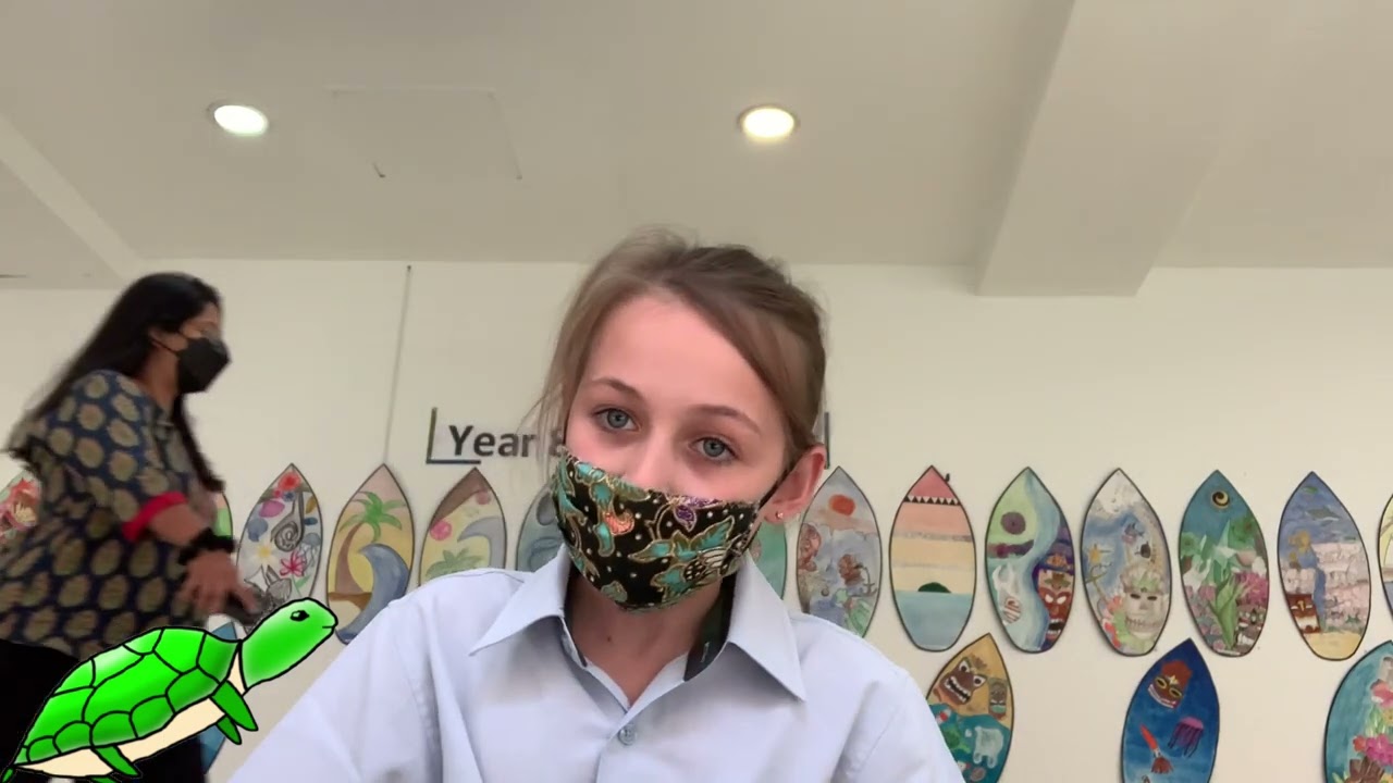 Animal Extinction Explained