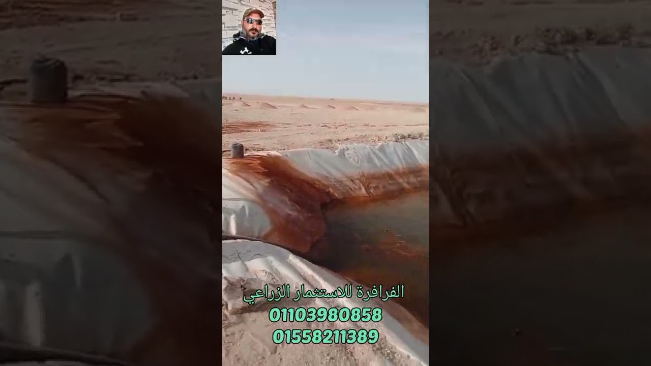 بحيرة المياه ( البركة ) ... و فوائدها العظيمة للزرع ...