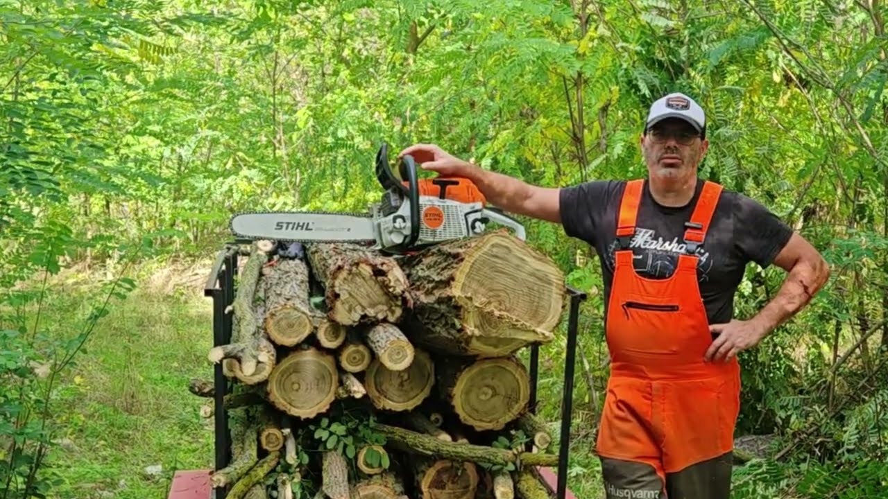 Stihl MS261C  Láncfűrész/chainsaw egy kis favágás az akácosban...