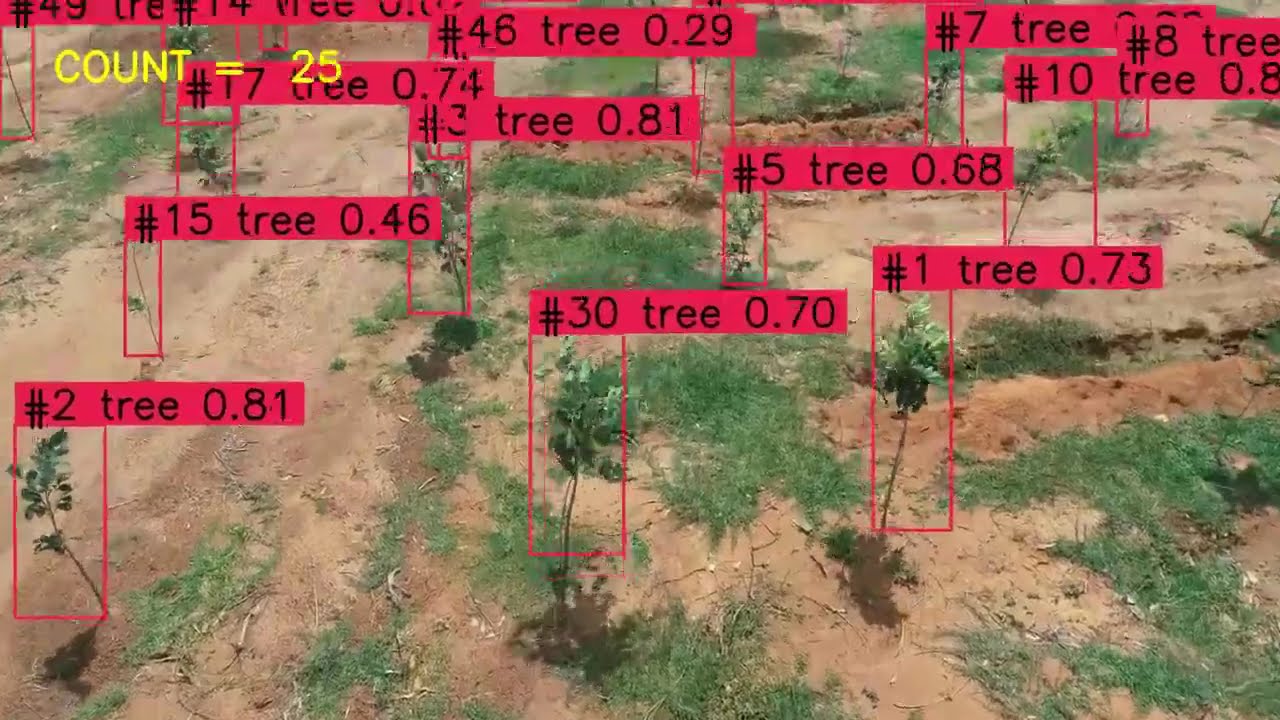 🌳 Drone-Based Tree Counting & Plantation Monitoring | AI-Powered Aerial Analysis 🚁📊