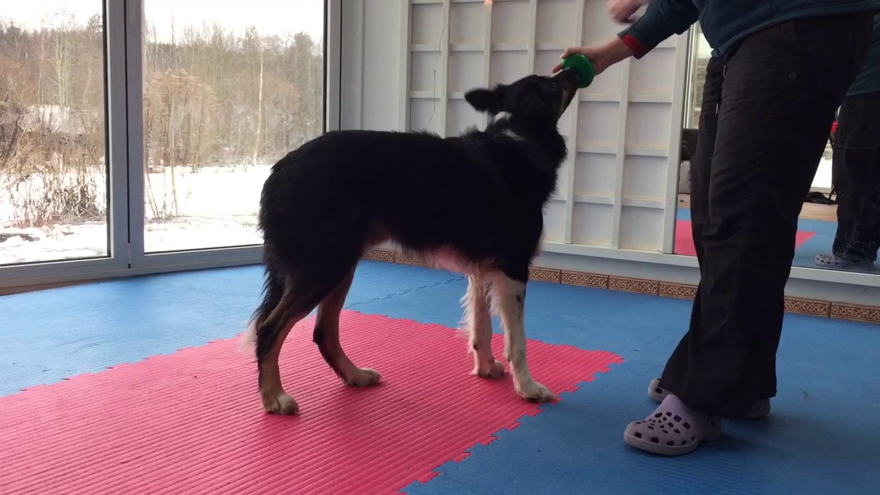 Teaching nose freeze marking