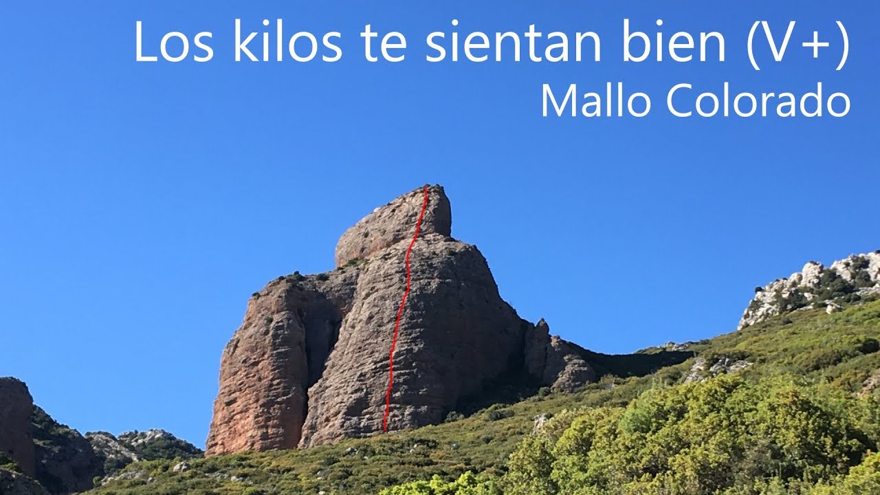 RIGLOS | 