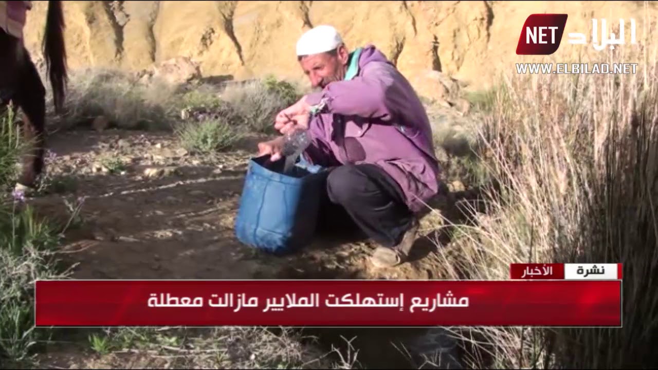 أم البواقي : مشاتي عين الزيتون تصارع العطش