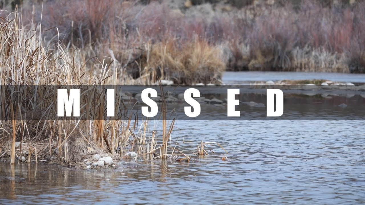 Otters? Not Today — Morning Out with the R6III