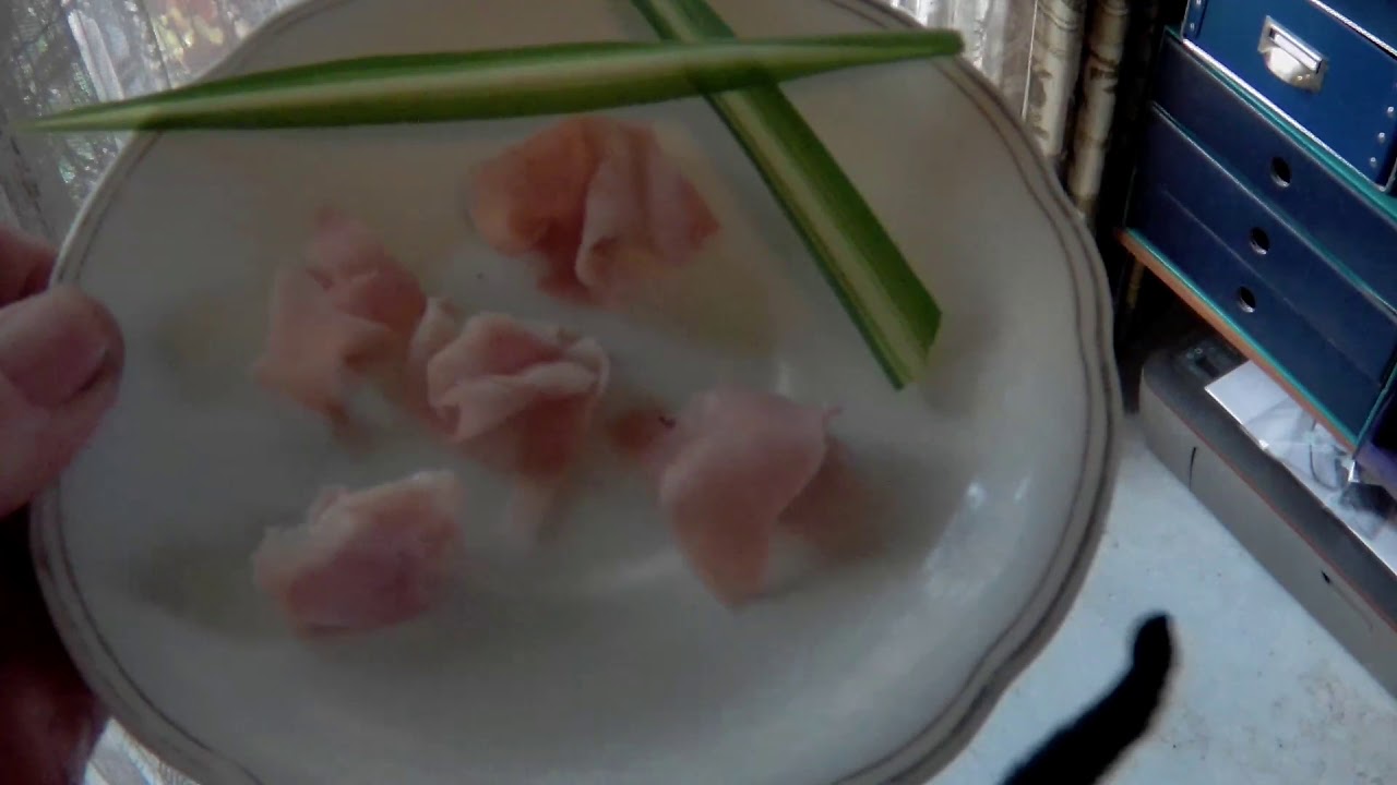 Katzenclip