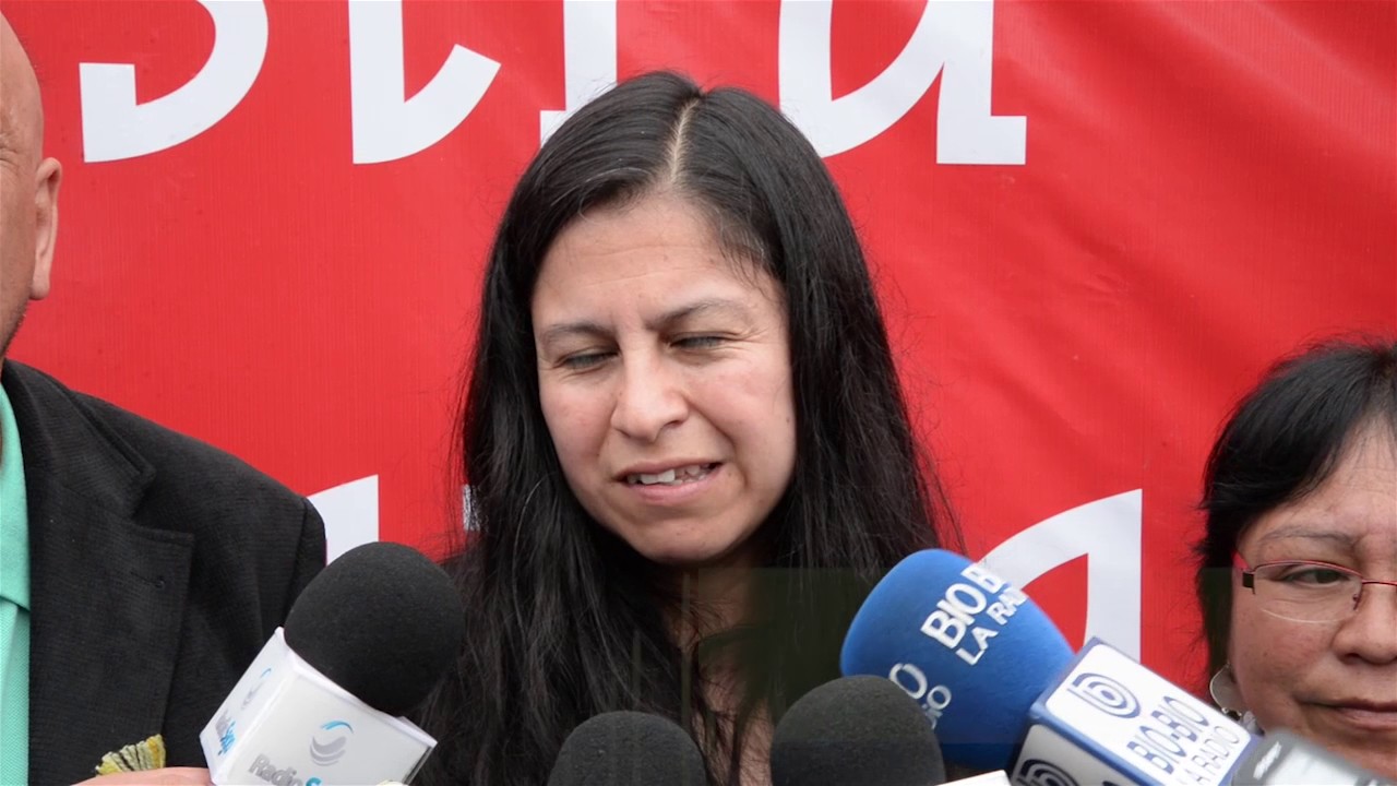 Feria mapuche