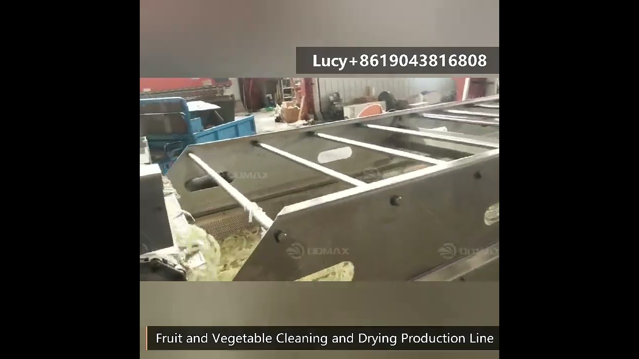 High-Efficiency Vegetable Washing Machine/Fruit and Vegetable Washing Line/Bubble Cleaning Machine