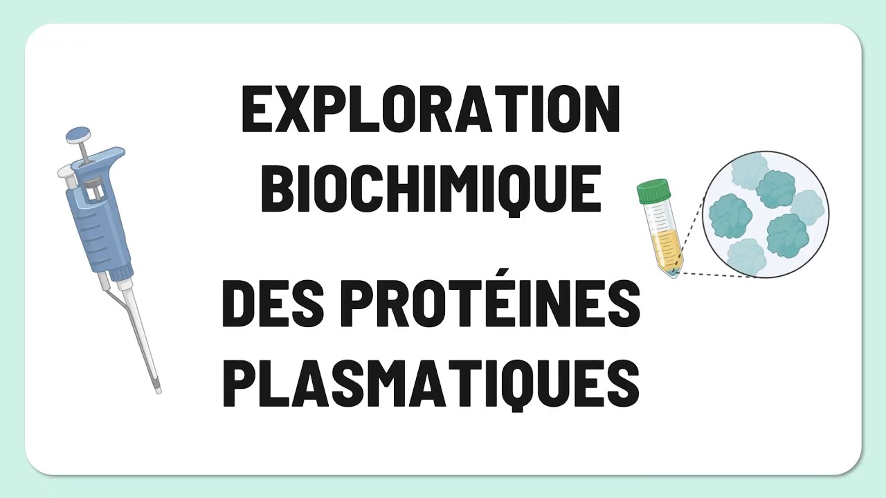 Exploration biochimique des protéines plasmatiques | Partie 02 | Biochimie 6