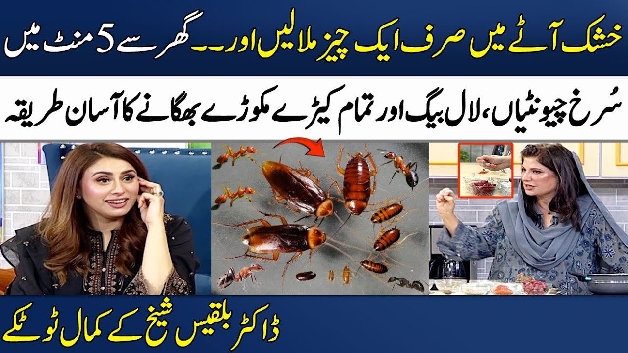 Dr Bilquis Shaikh Reveals an Easy Solution To Kill Insects | Home Remedies | Madeha Naqvi | SAMAA TV