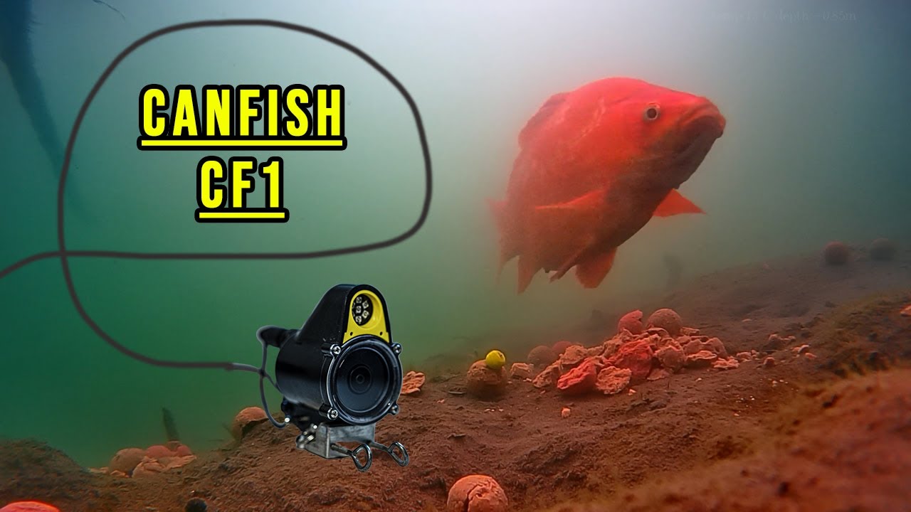 Explorer les profondeurs : Présentation de la caméra aquatique CanFish CF1 ~ Carpe Style