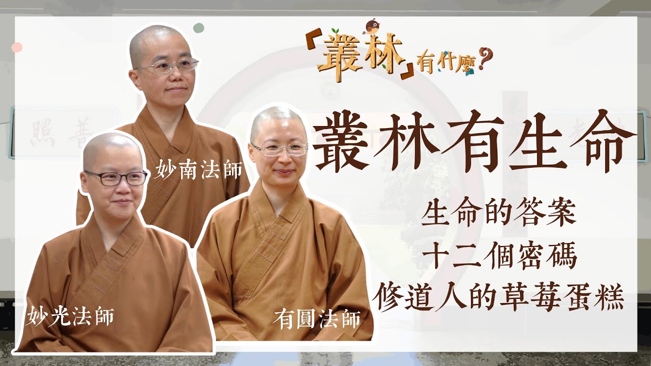 【叢林有什麼？—叢林有生命】