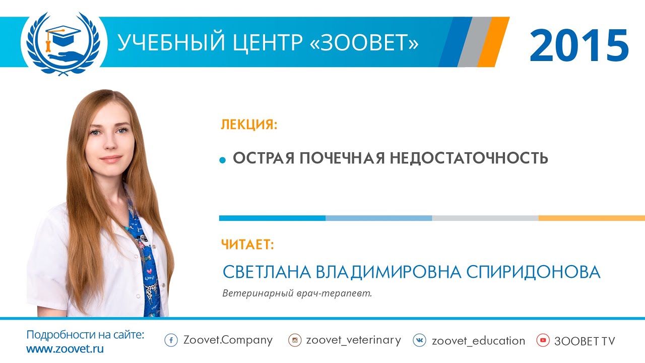 С. В. Спиридонова в УЦ «Зоовет» | Острая почечная недостаточность