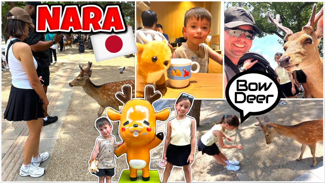 NARA PARK 🇯🇵 One of our Japan Highlights! 🦌❤️