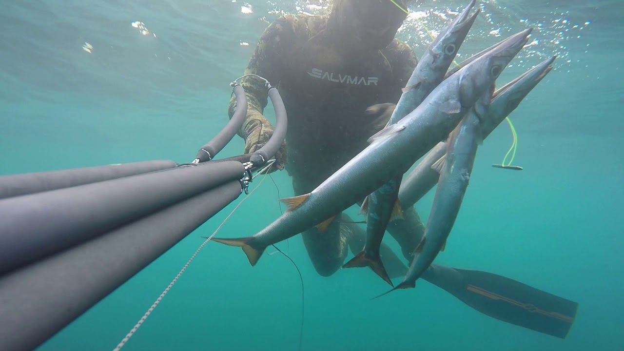 Chasse sous marine avec ADEL  Partie 1