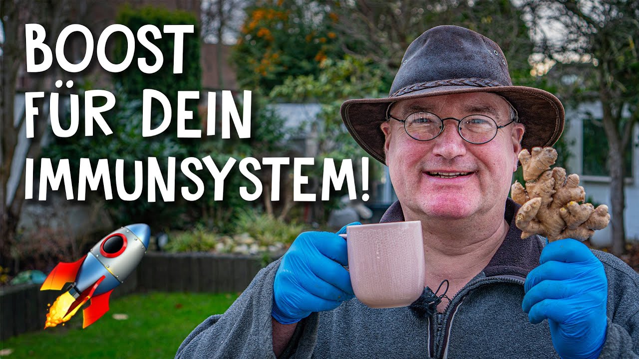 Gesund durch den Winter! 🤒 - Ingwer & Kurkuma selber pflanzen und ernten
