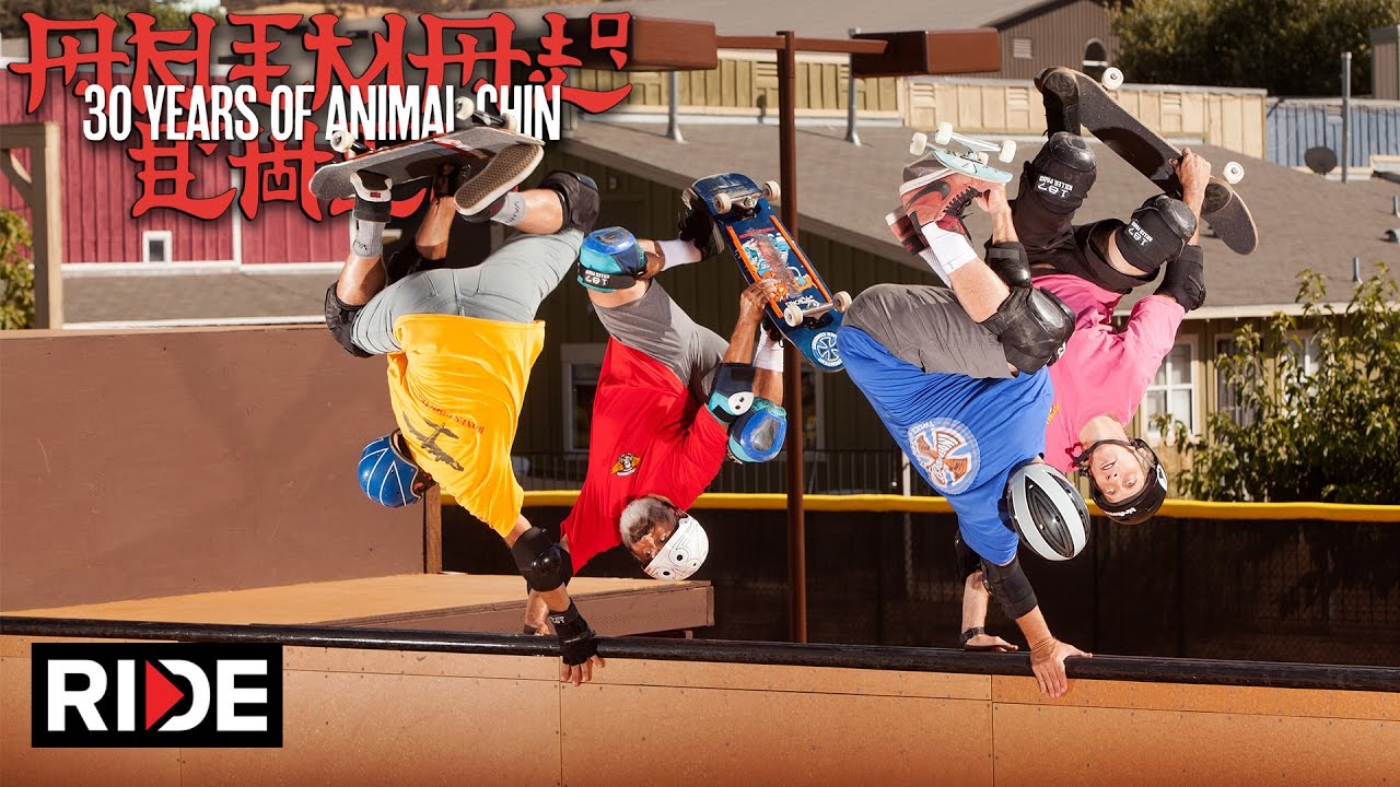 Animal Chin 30 Years - Recreating The Invert Photo 3/4