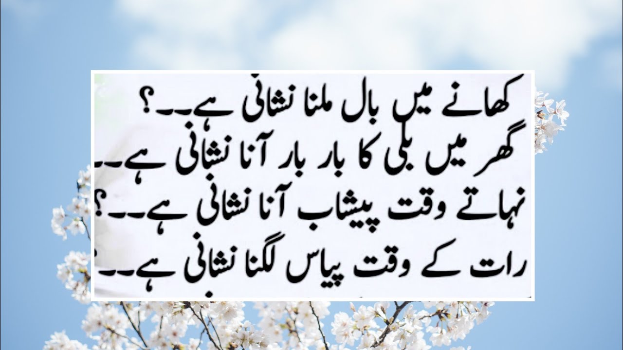 Rumi quotes Urdu | Hikmat ki batain | Urdu quotes heart touching | best life-changing quotes