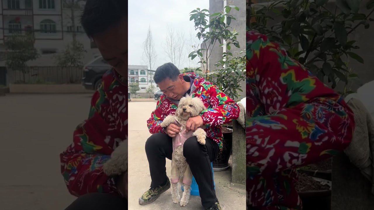 春天的农活不等人，老谭忙完坡上回家洗衣做饭一整套干得不亦乐乎 #我的乡村生活 #日常vlog #农村生活 #原创