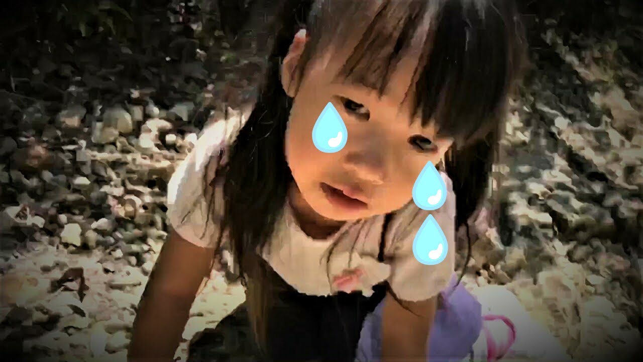 【寸劇】たいへん！森の中で大好きなぬいぐるみが迷子になっちゃった！山登り大冒険の始まり！