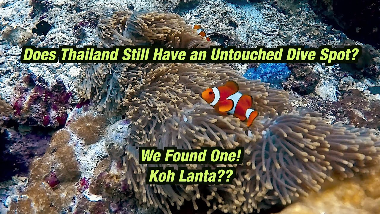 Does Thailand Have an Untouched Dive Spot? We Found One! Koh Lanta??