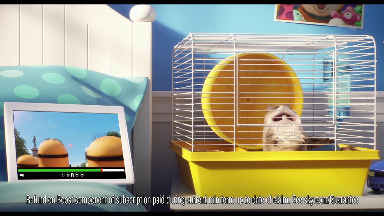 Sky Broadband WiFi Guarantee & The Secret Life of Pets 2