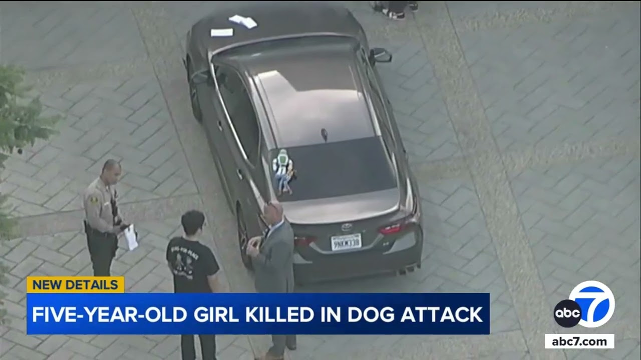 Neighbors react with shock, horror after 5-year-old girl fatally mauled by dogs at Covina area home