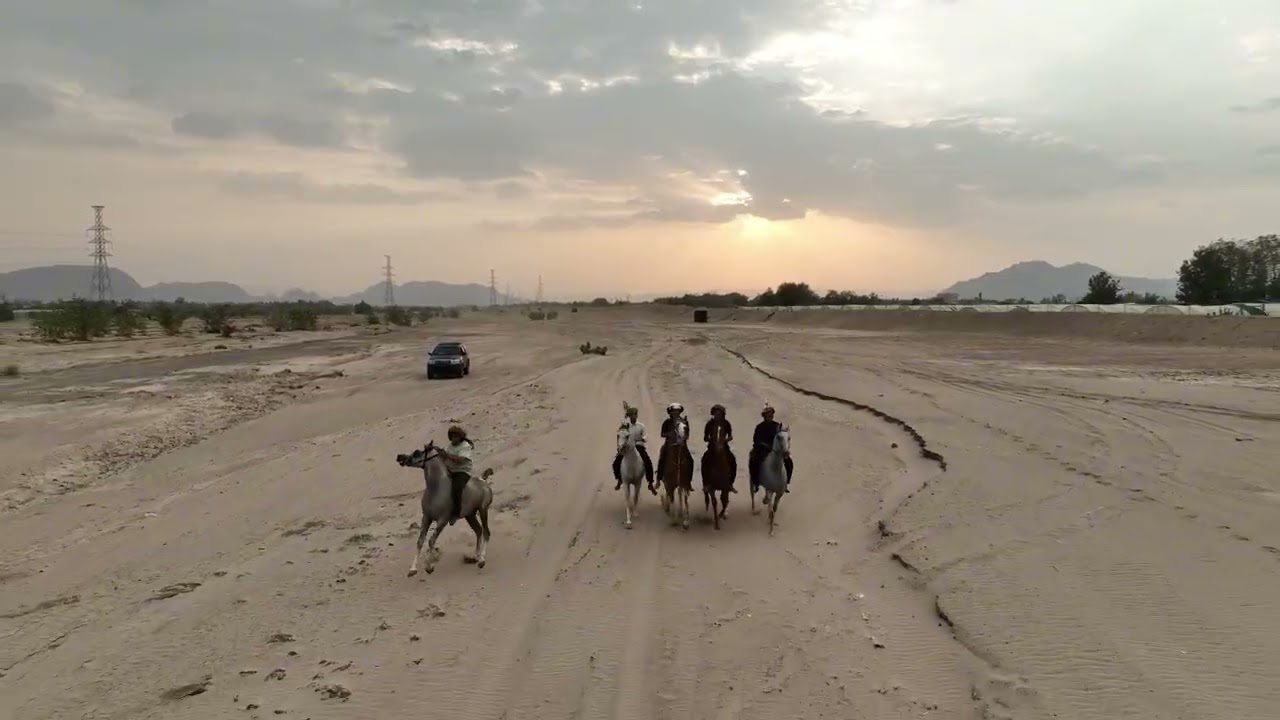 ركوب خيل مع الشباب في وادي نجران