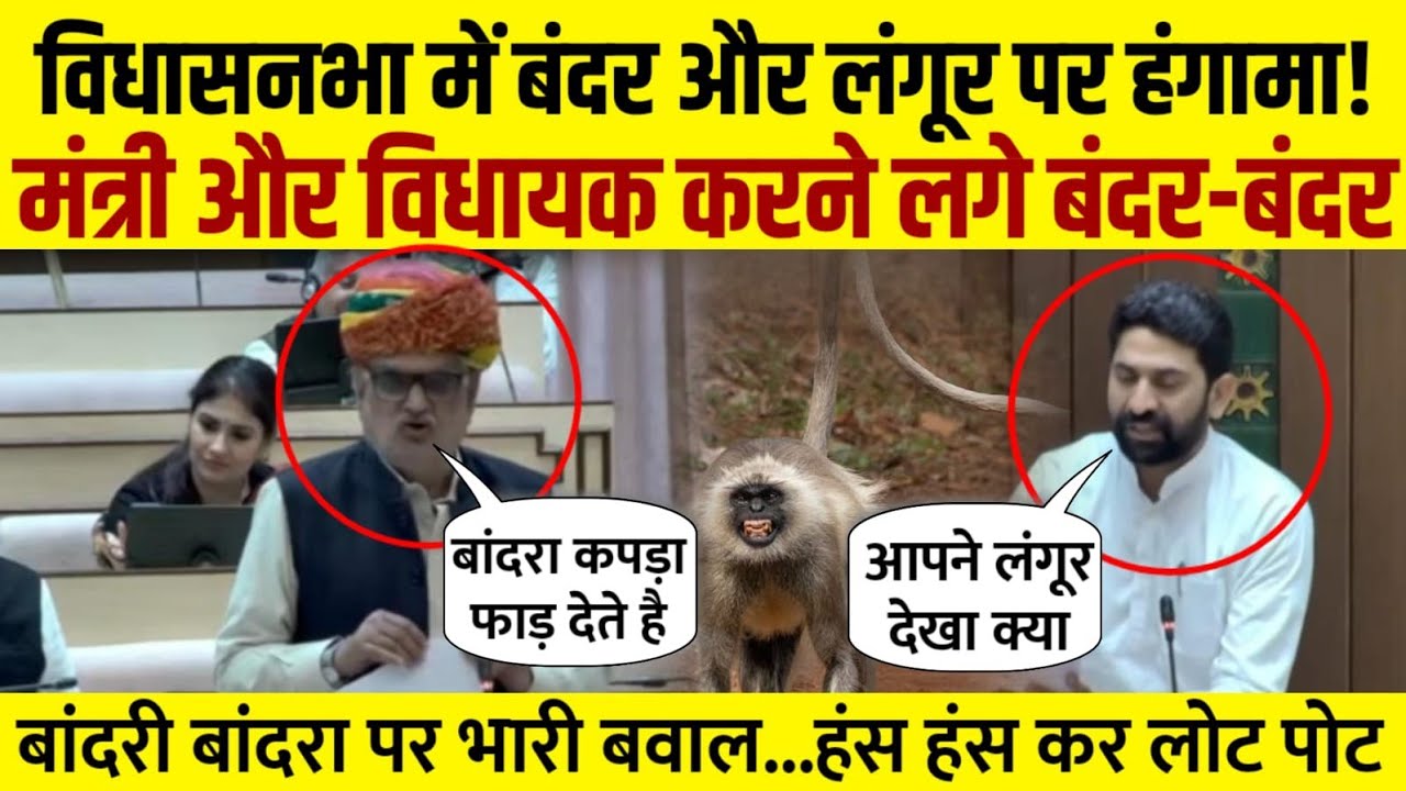 झाबर सिंह खर्रा ने विधानसभा में monkey और लंगूर पर ऐसा क्या बोला कि हंगामा हो गया!