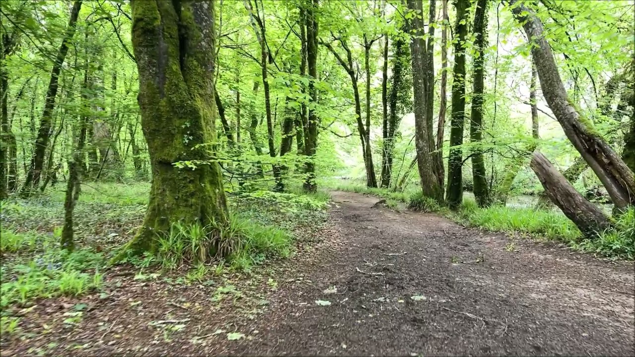 Walkwyse GPS guided walk at Loddiswell, Avon valley for Duke of Edinburgh's Award Sceheme.