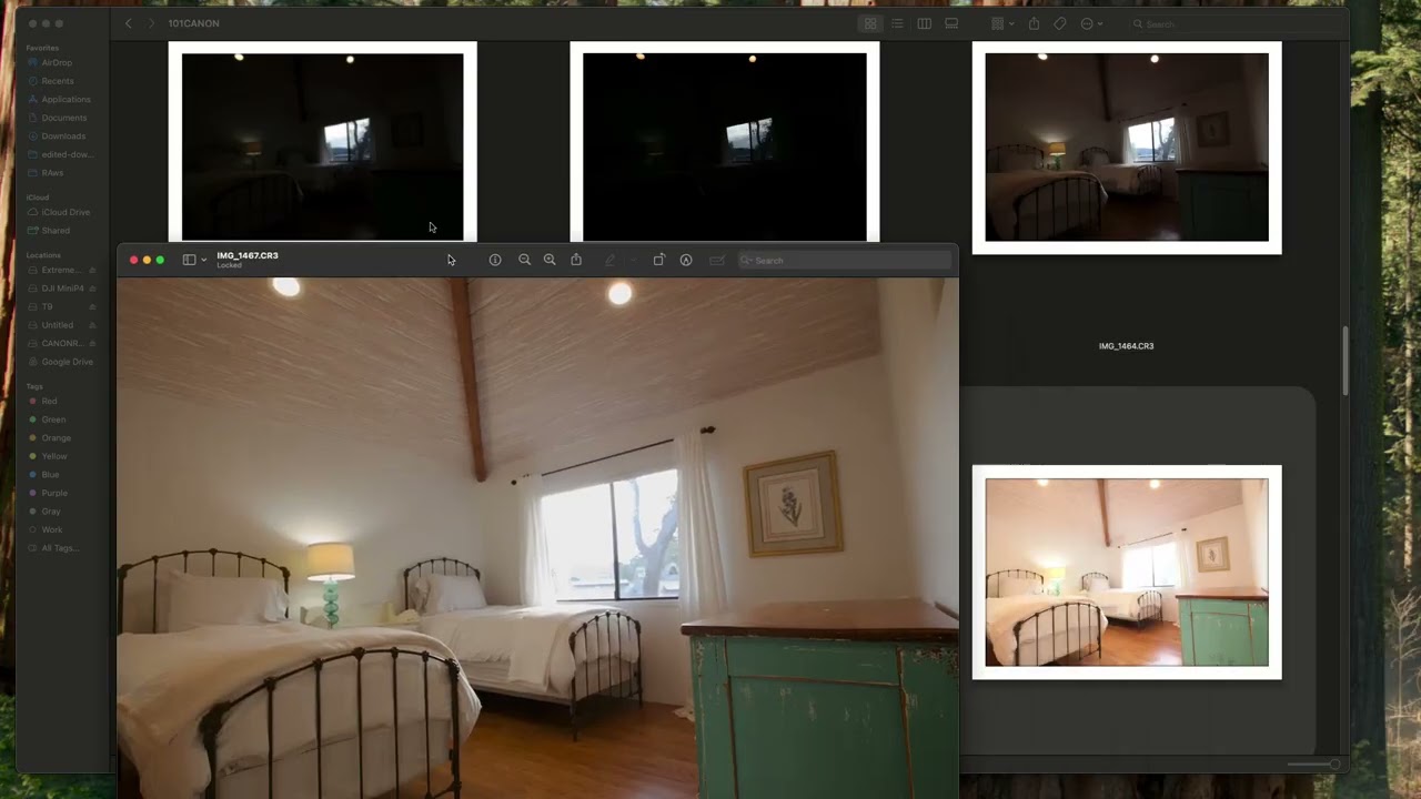 Professional Photographers React To This Carmel Photoshoot