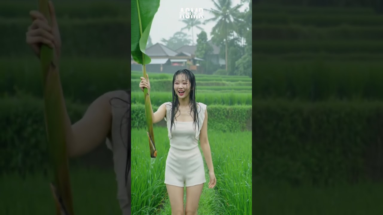 Sleep soundly with the sound of Indonesian rural rain accompanied by a beautiful South Korean girl