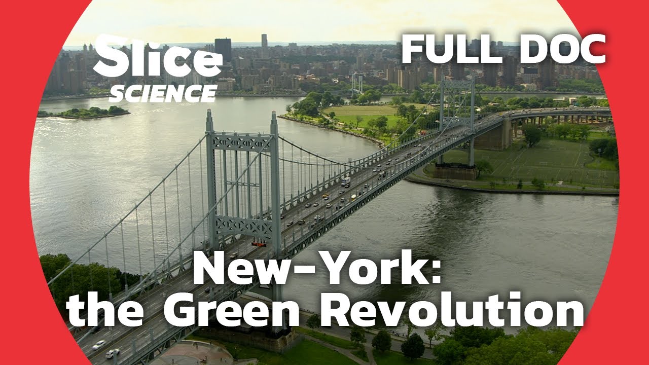 Nature's Return to New York City | SLICE SCIENCE | FULL DOCUMENTARY