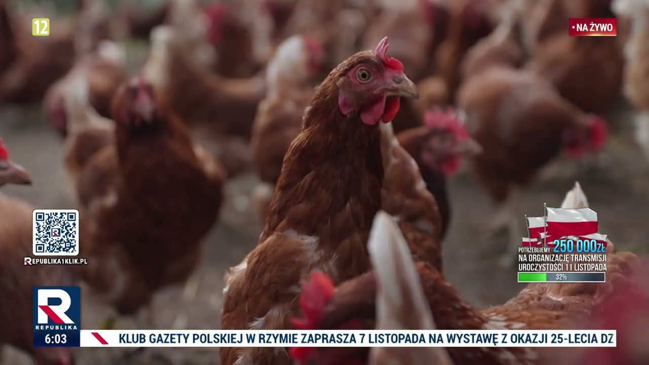 AGRO INFO | 07.11.2025 | TV Republika